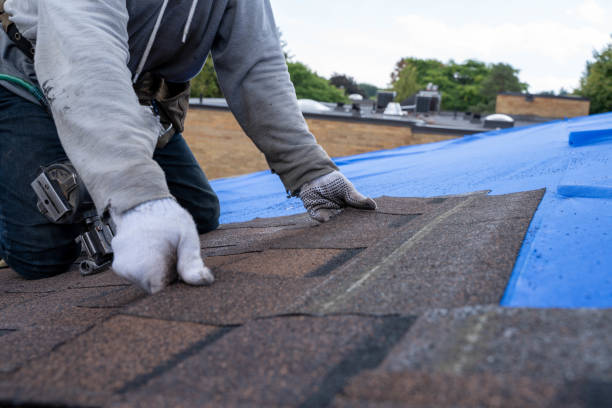 Best New Roof Installation  in Elk Ridge, UT