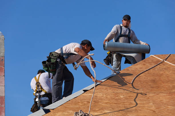 Best Emergency Roof Repair  in Elk Ridge, UT